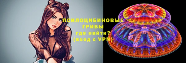 спиды Нея