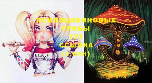 соль ск Нефтегорск